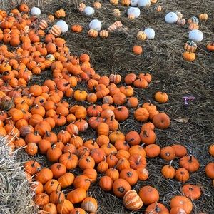 Meet your Posher, Nana